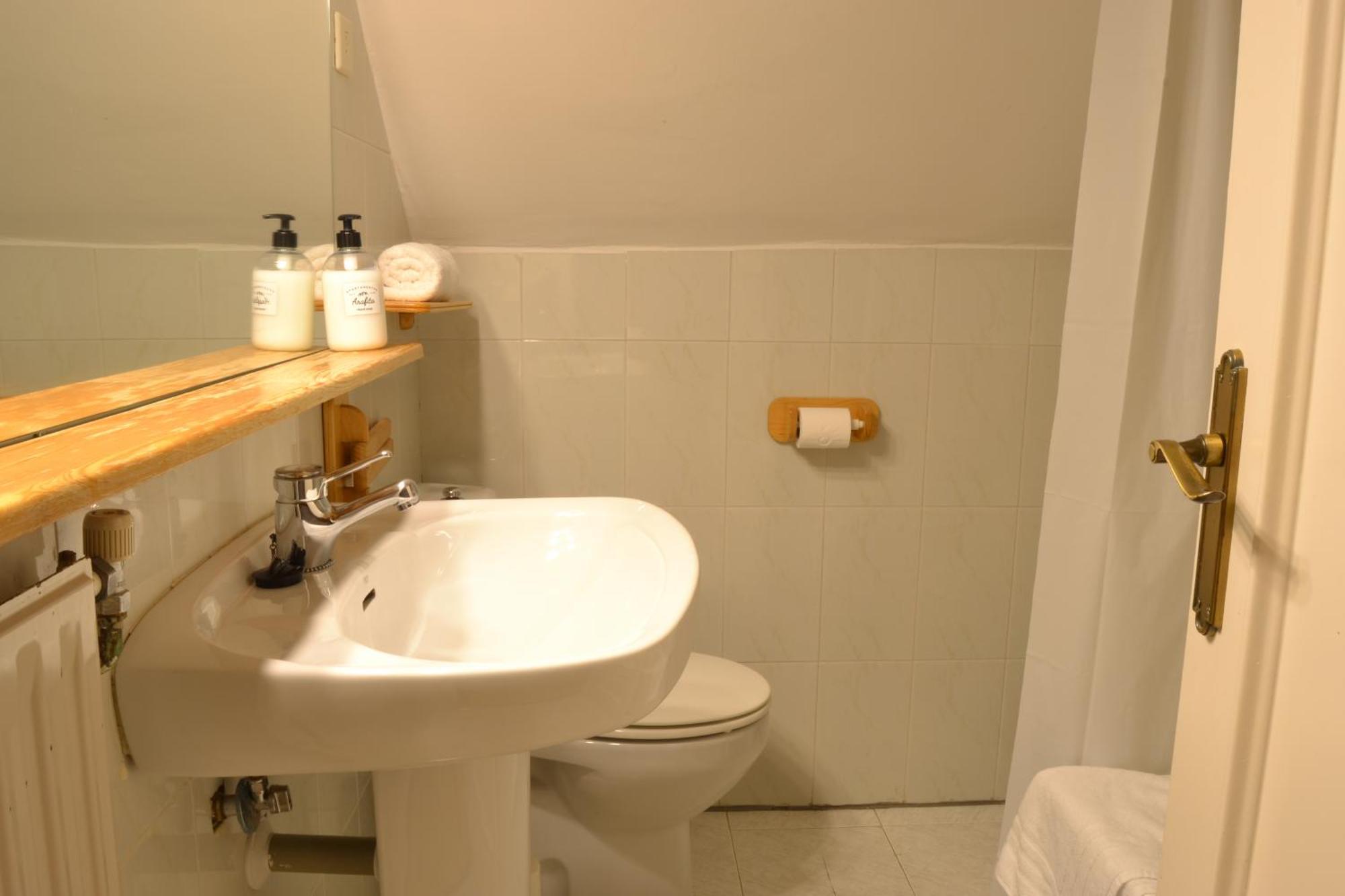 Balaitus Petfriendly - Arafita Apartamentos Sallent de Gállego Exterior foto